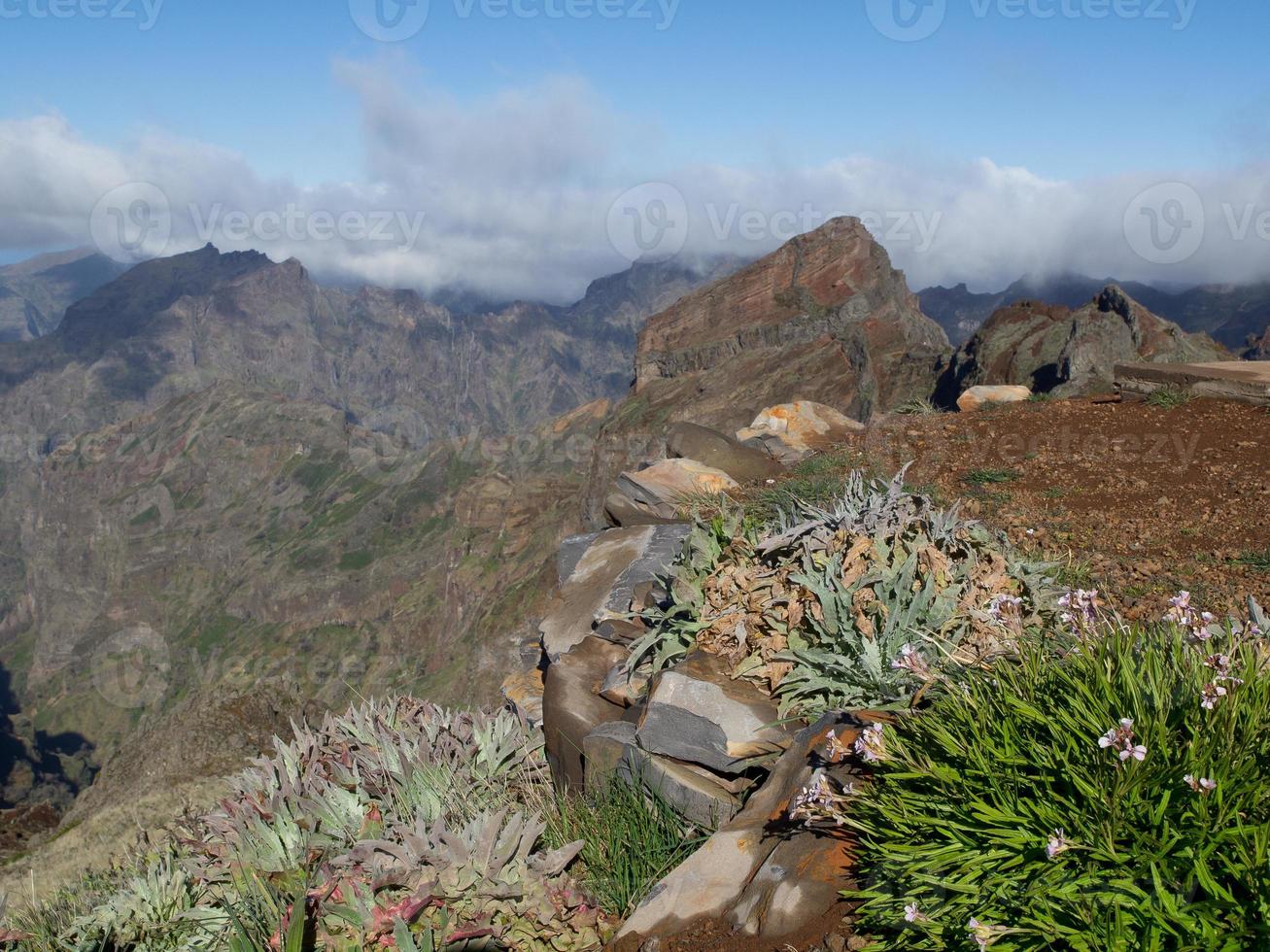 die Insel Madeira foto