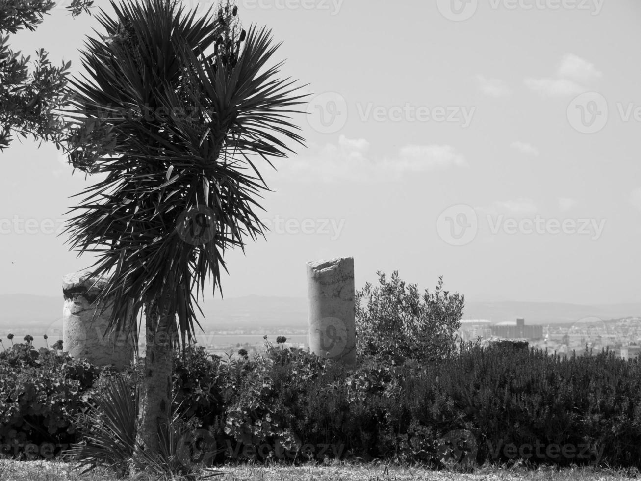 die Stadt Tunis foto