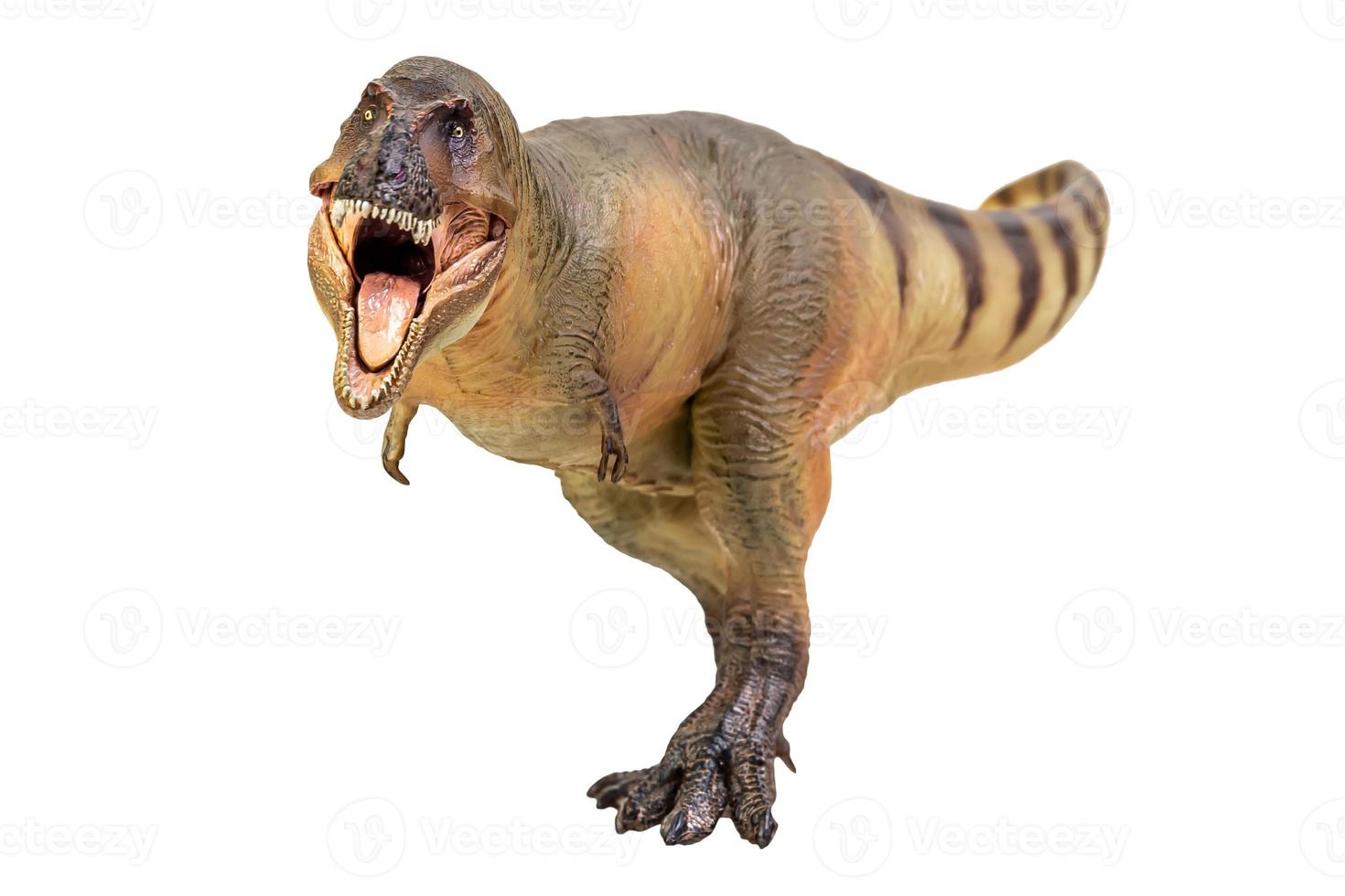 Tyrannosaurus Rex Dinosaurier auf weißem Hintergrund Beschneidungspfad isolieren foto