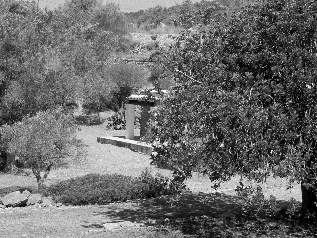 Insel Ibiza in Spanien foto