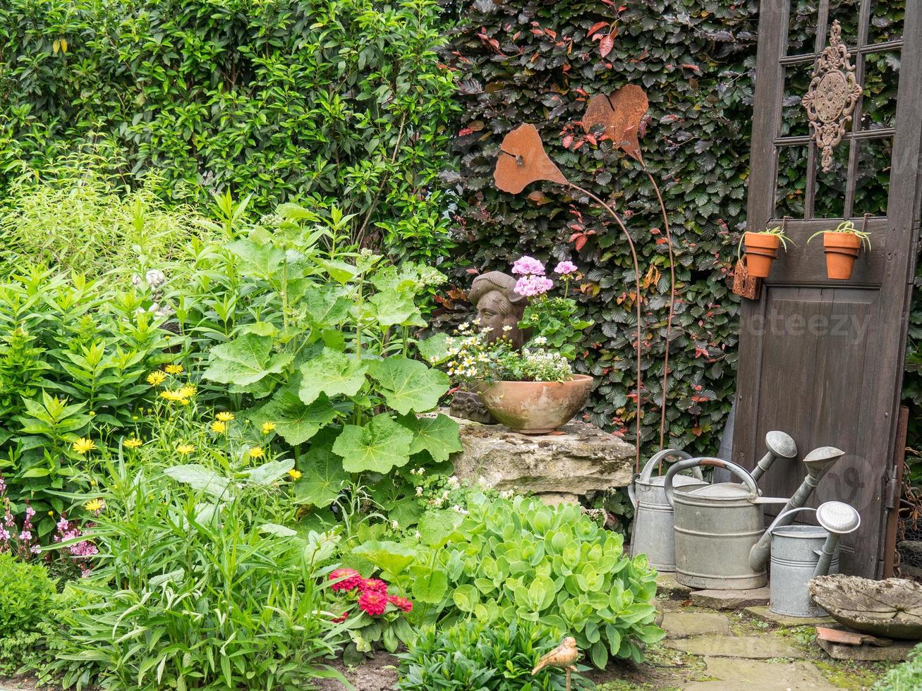 sommerzeit in einem deutschen garten foto