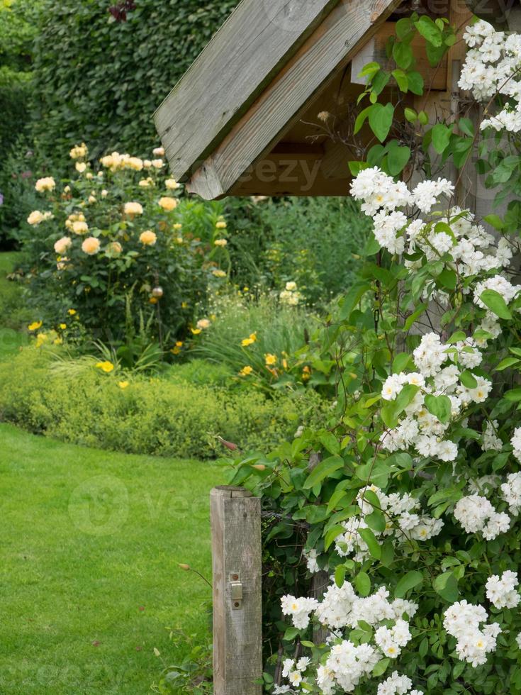 Sommergarten in Westfalen foto