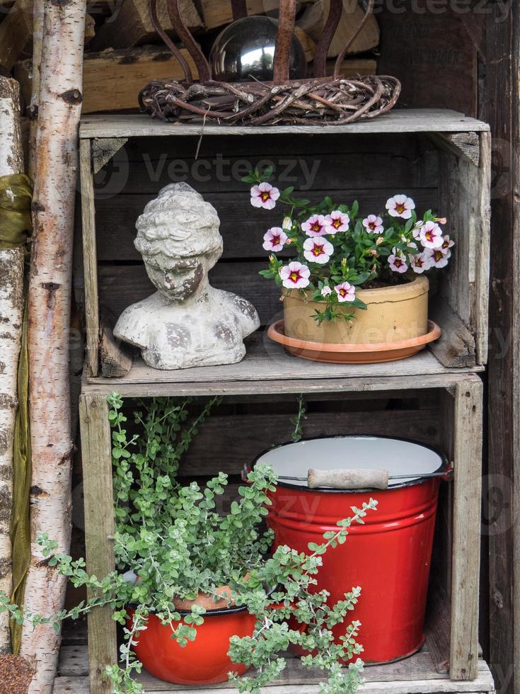 sommerzeit in einem deutschen garten foto