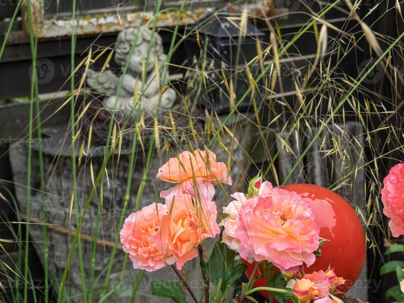 sommerzeit in einem deutschen garten foto