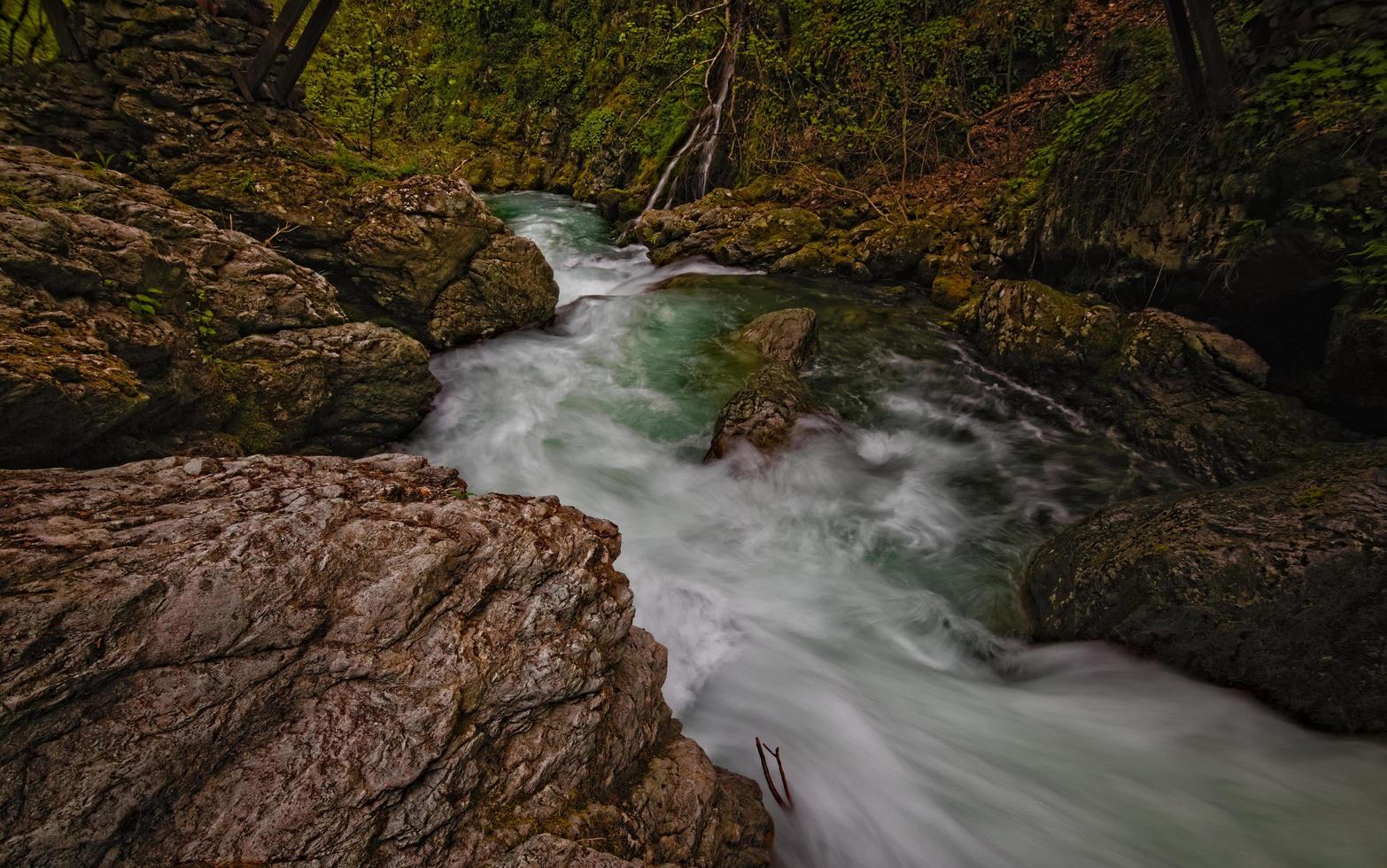 Bergfluss und Wald foto