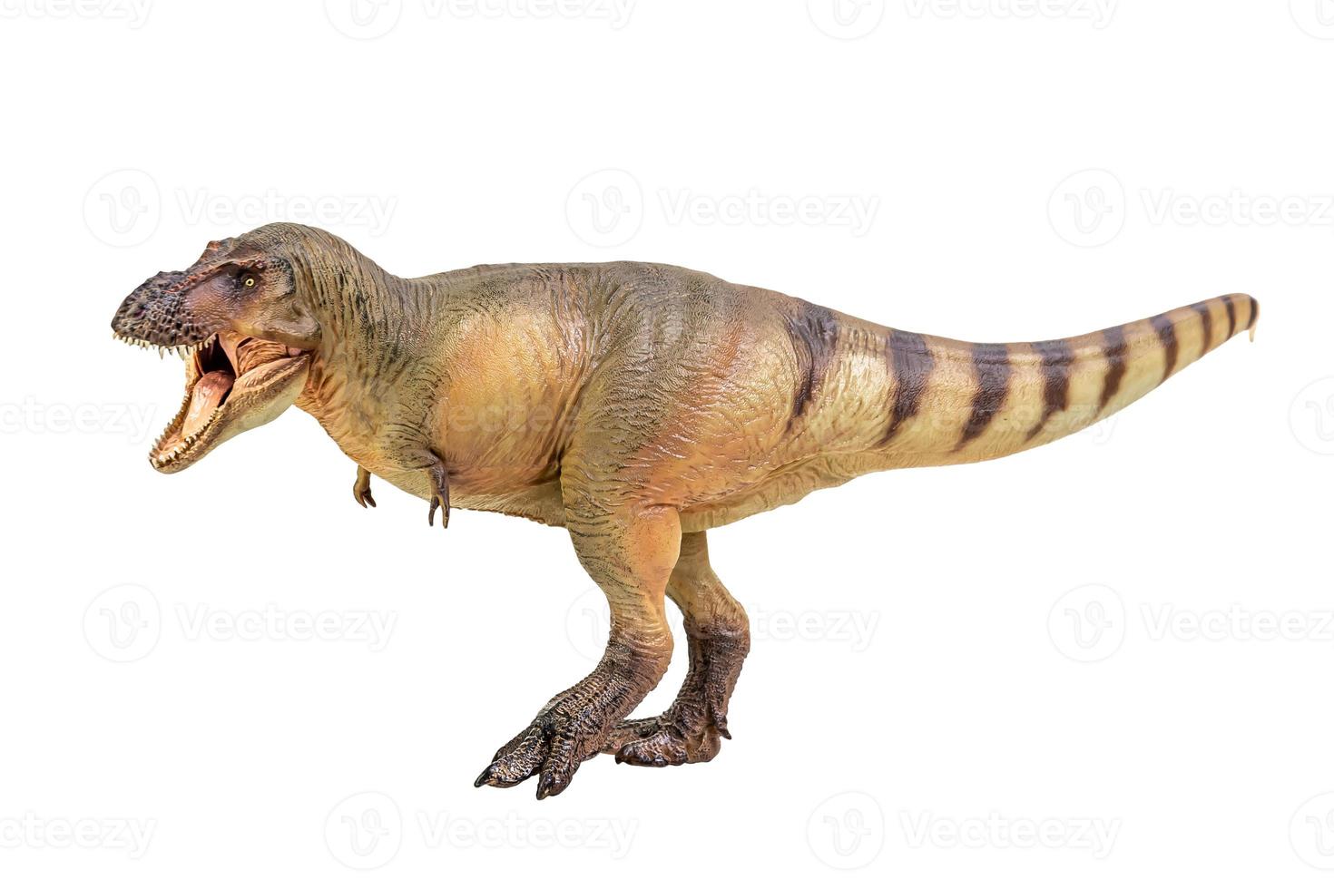 Tyrannosaurus Rex Dinosaurier auf weißem Hintergrund Beschneidungspfad isolieren foto