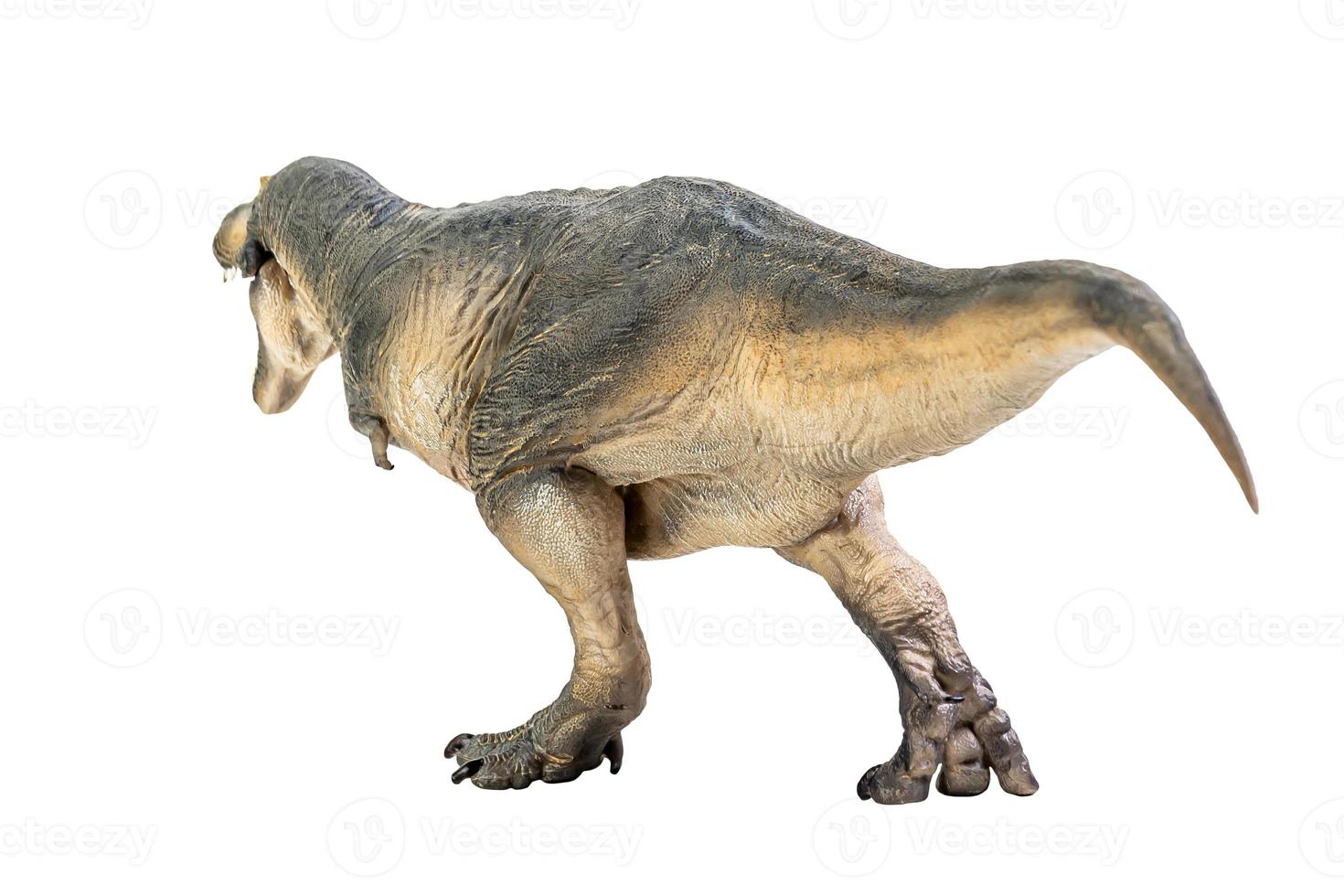 Tarbosaurus-Dinosaurier auf weißem Isolathintergrund-Beschneidungspfad foto