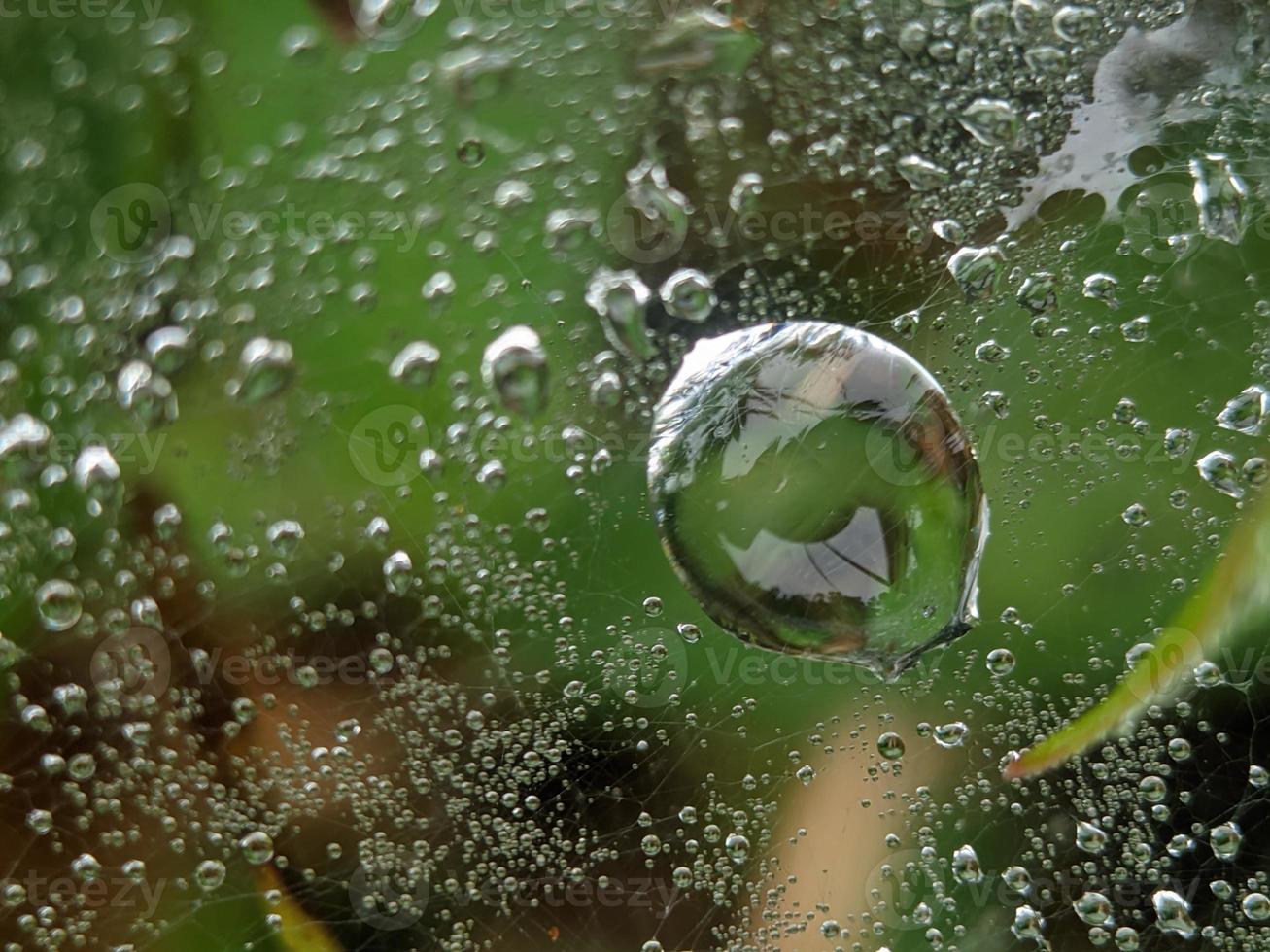 Tautropfen auf Spinnennetz am Morgen, Makrofotografie, extreme Nahaufnahme foto