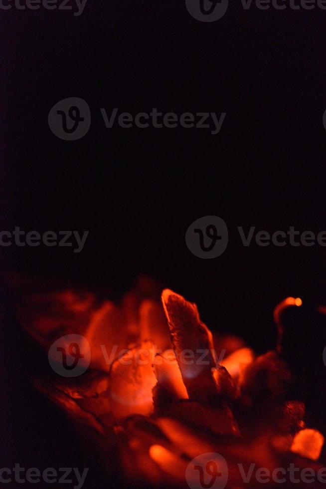 Feuer Flamme Hintergrund foto