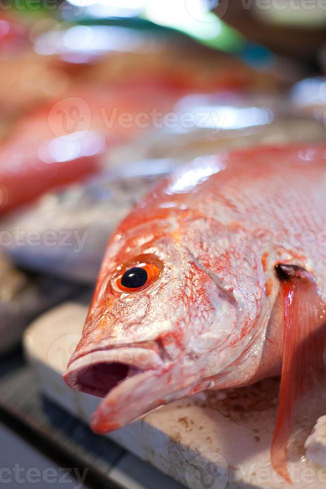 Lapu-Lapu, Red Snapper und Thunfisch, Meeresfrüchte auf dem Markt foto