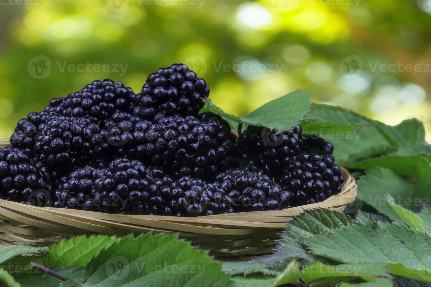 Weidenkorb voller Brombeeren foto