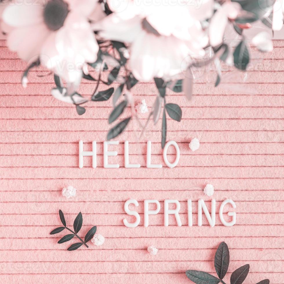 Hallo Frühlingszitat auf rosa Hintergrund mit Blumen. Ansicht von oben. festliche grußkarte foto