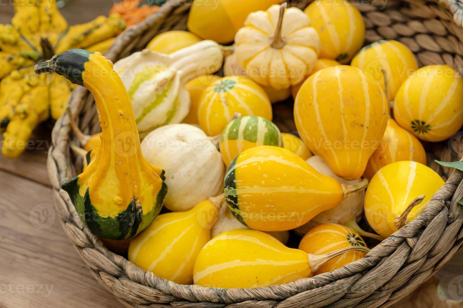 Herbst Kürbis Hintergrund. Nahaufnahme von Mini-Kürbisse am Bauernmarkt foto