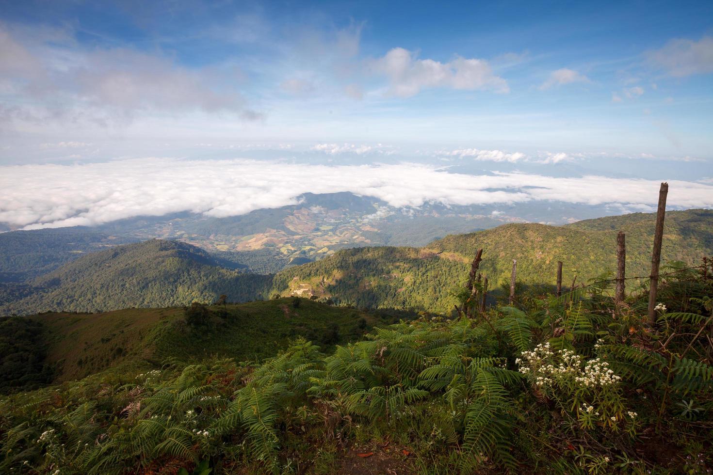 Nebel über dem Berg im Nationalpark Doi Inthanon, Thailand foto