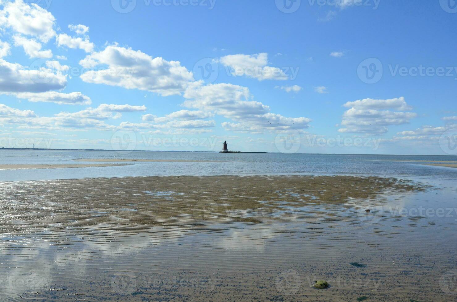 Hufeisenkrabbenschalen und Leuchtturm und Wasser am Strand foto