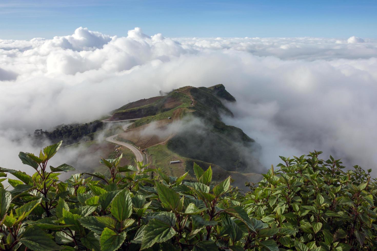 landschaftsnebel und wunderschöne berglandschaft in phutabberk phetchabun, thailand foto