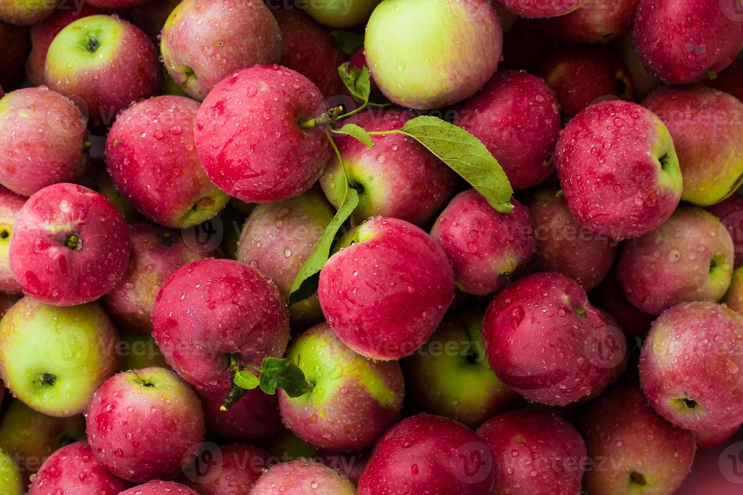 roter Äpfel Hintergrund foto