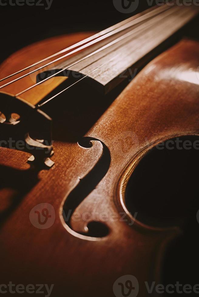 alte Geige foto