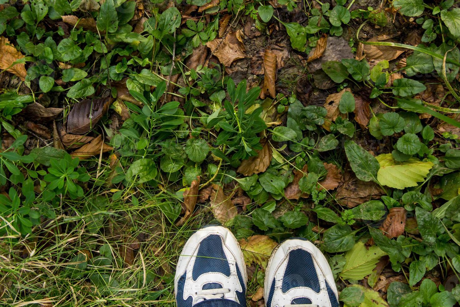 weibliche füße in blauen sportschuhen auf dem boden mit gras foto