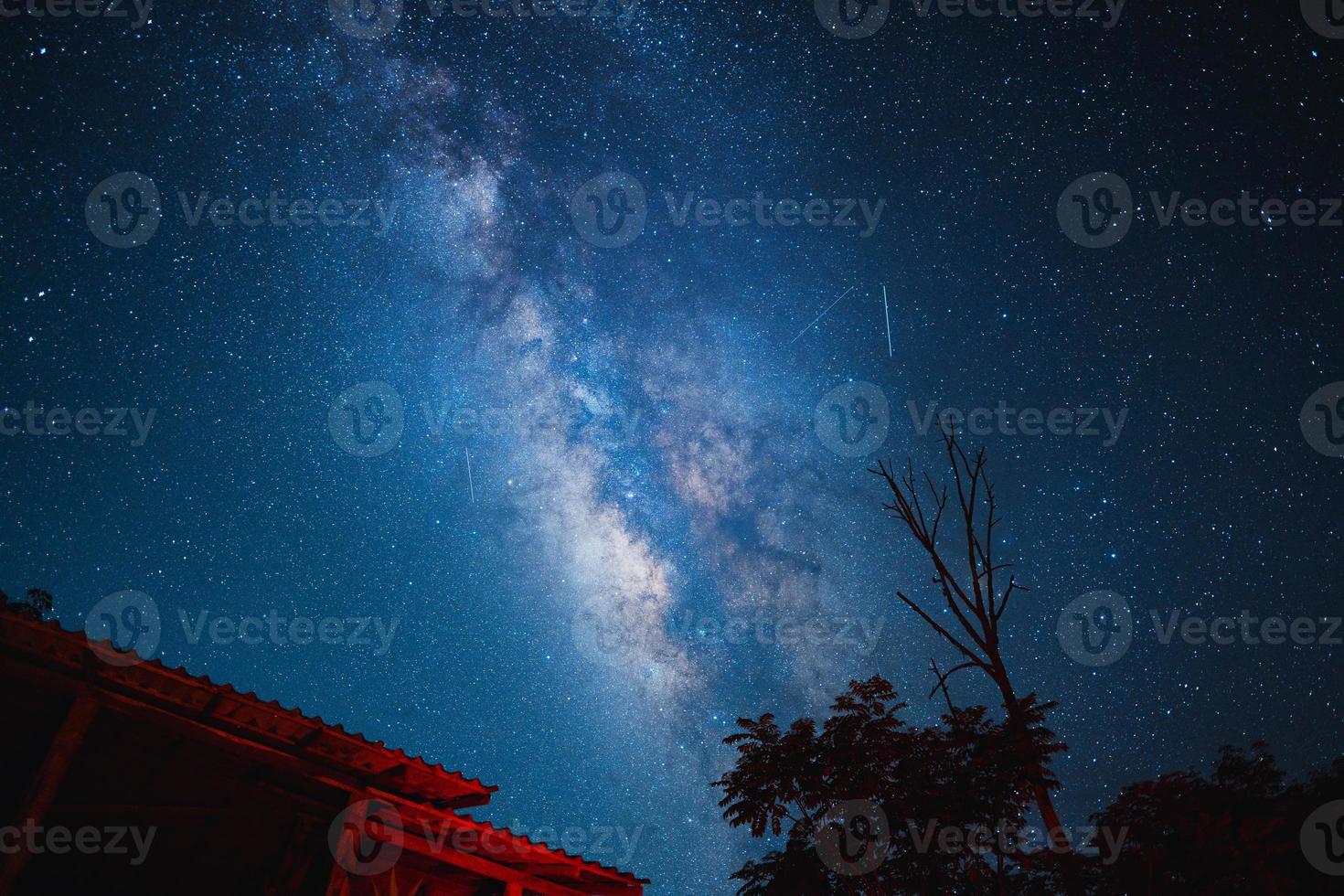 Nachtszene Milchstraße Hintergrund, Bäume gegen Himmel bei Nacht foto