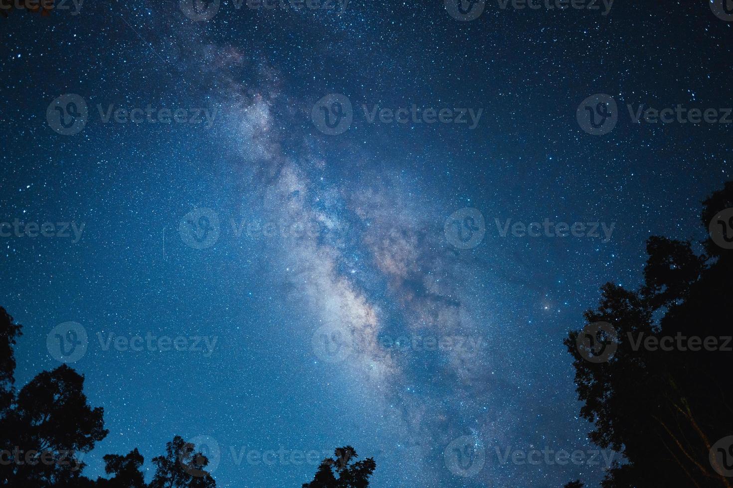 Nachtszene Milchstraße Hintergrund, Bäume gegen Himmel bei Nacht foto