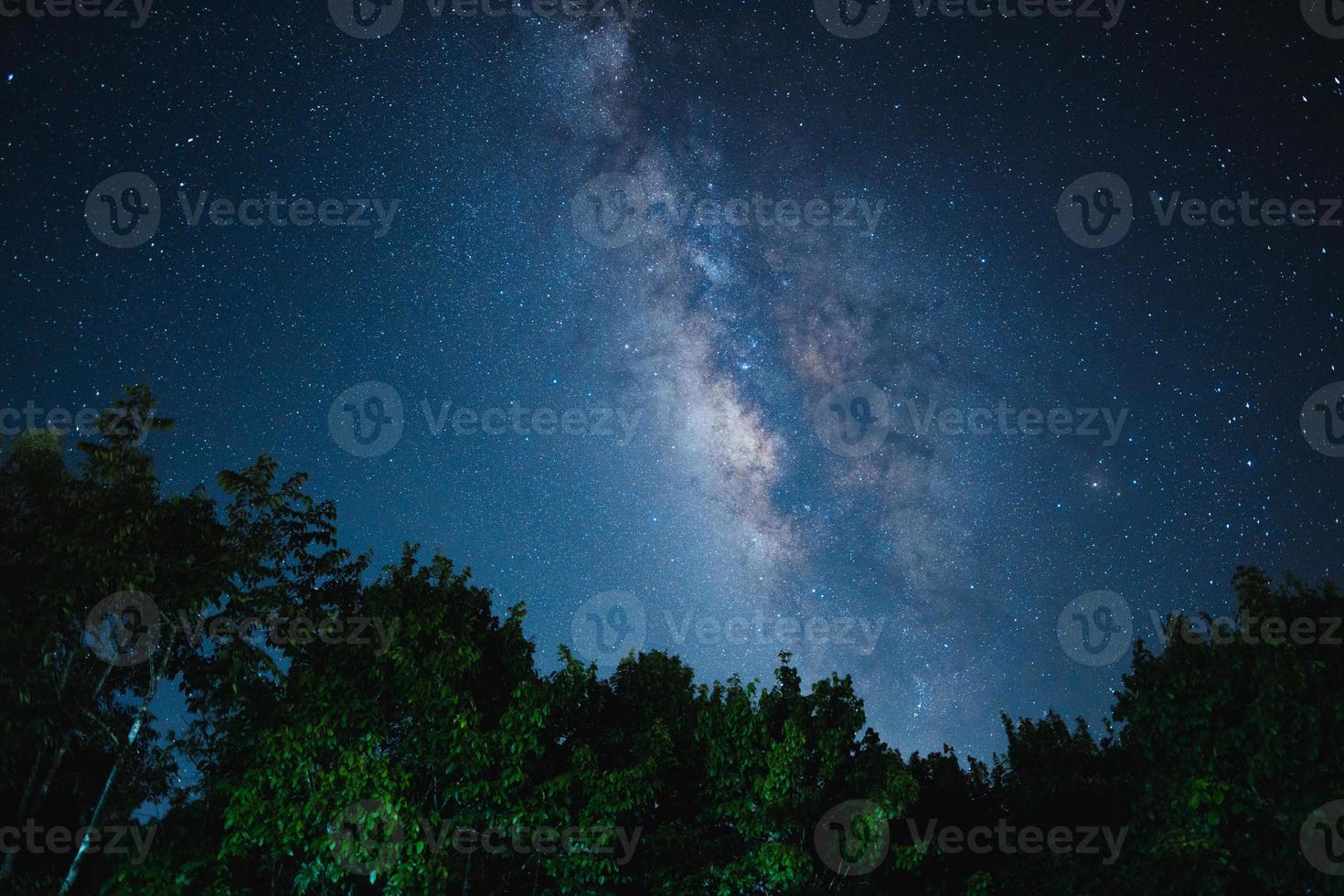 Nachtszene Milchstraße Hintergrund, Bäume gegen Himmel bei Nacht foto
