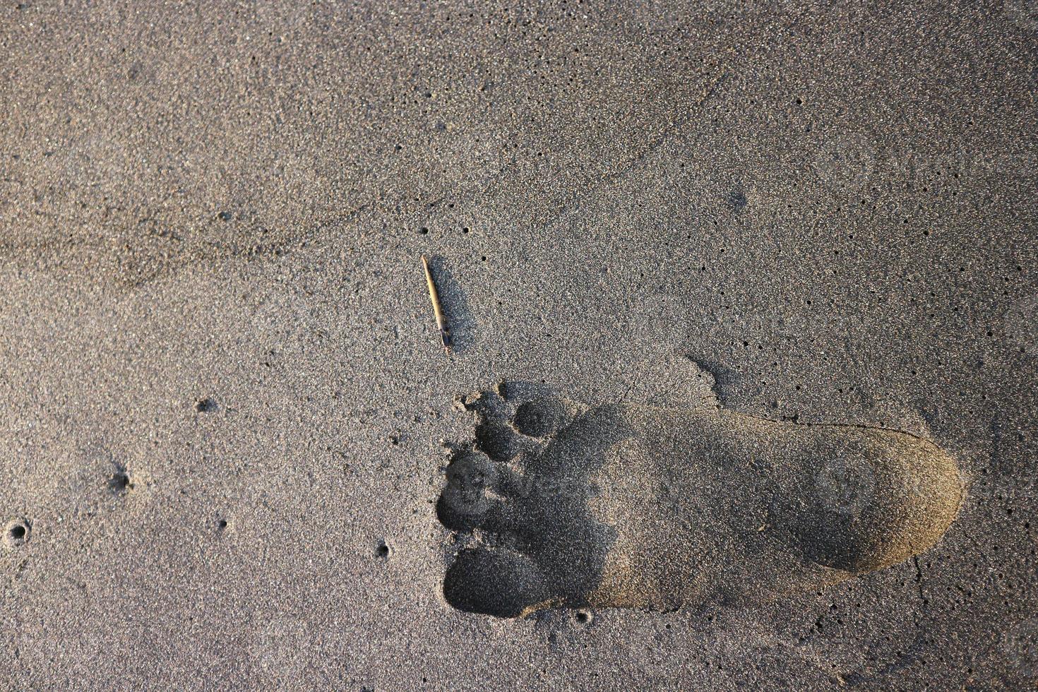 menschlicher Fußabdruck auf tropischem Sandsommerstrand bei Sonnenaufganghintergrund mit Exemplar. foto