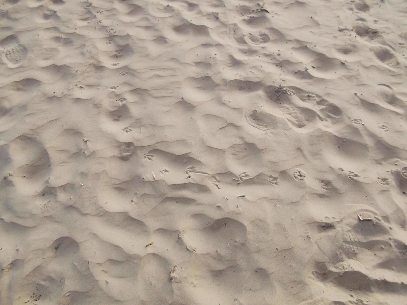 Sand am Strand. Textur. Nahansicht foto