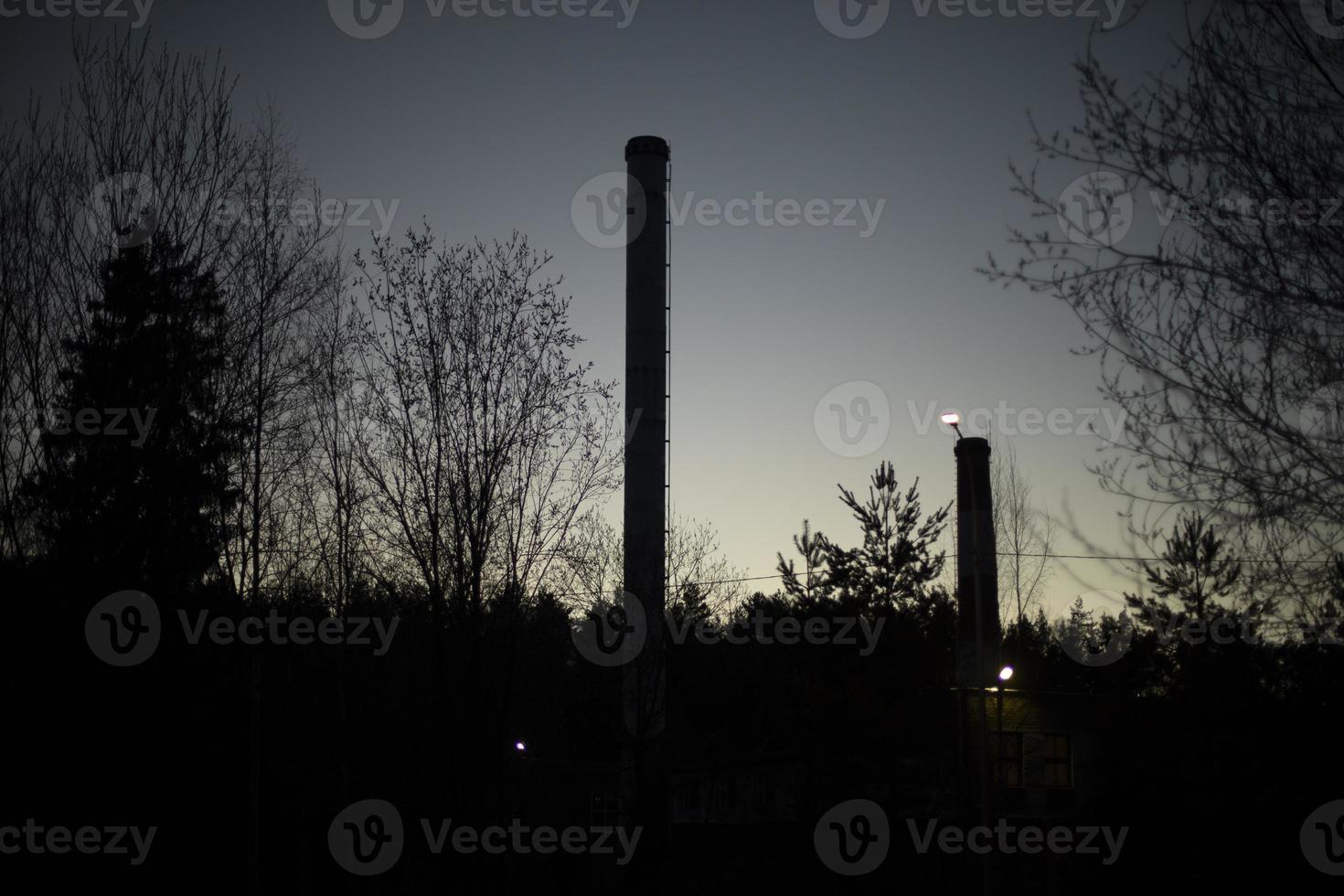 Pfeife der Pflanze in der Nacht. Silhouette der Trompete. foto