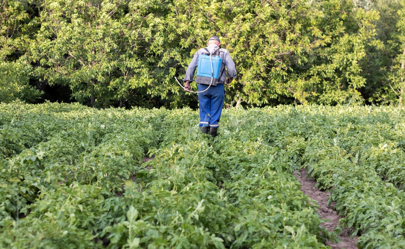 Ein Bauer wendet Insektizide auf seine Kartoffelernte an. Beine eines Mannes in persönlicher Schutzausrüstung für die Anwendung von Pestiziden. Ein Mann besprüht Kartoffelsträucher mit einer Kupfersulfatlösung. foto