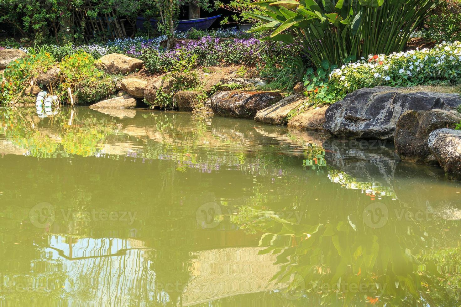 koi-fische in der dekorativen landschaftsgestaltung des gartenteichs foto