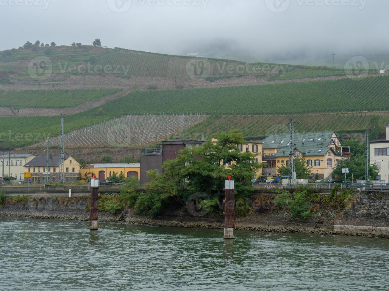 Rüdesheim am Rhein foto