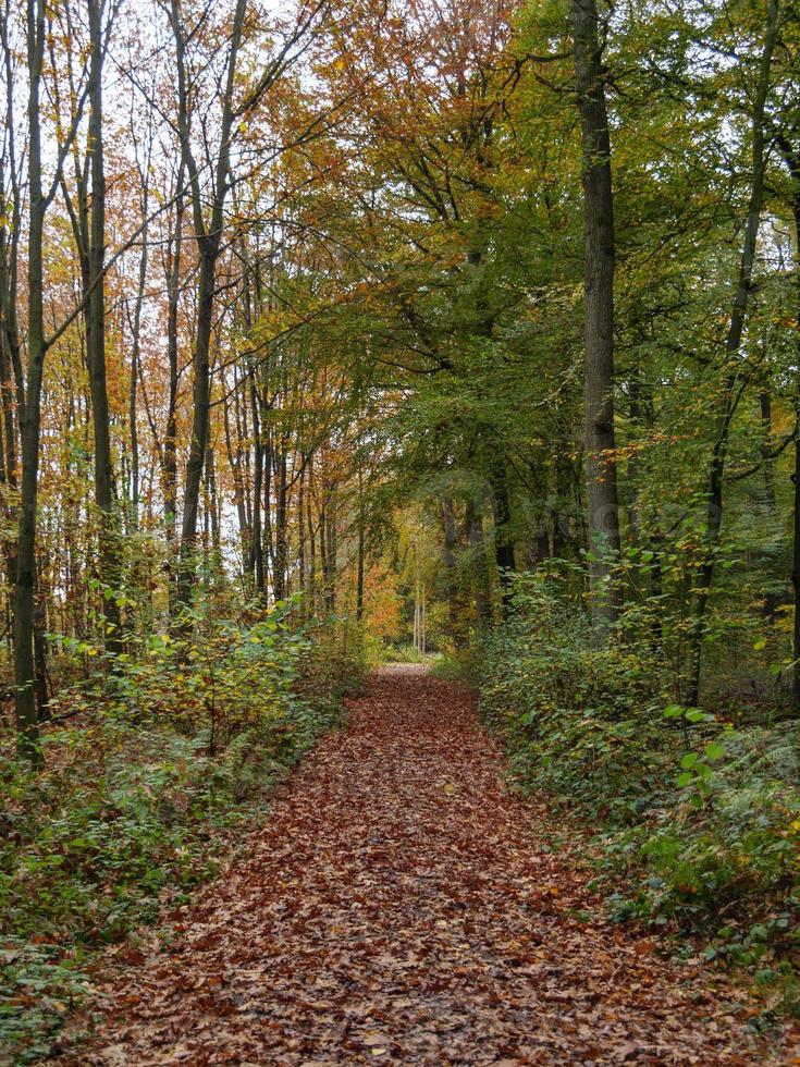 Herbstzeit in Westfalen foto