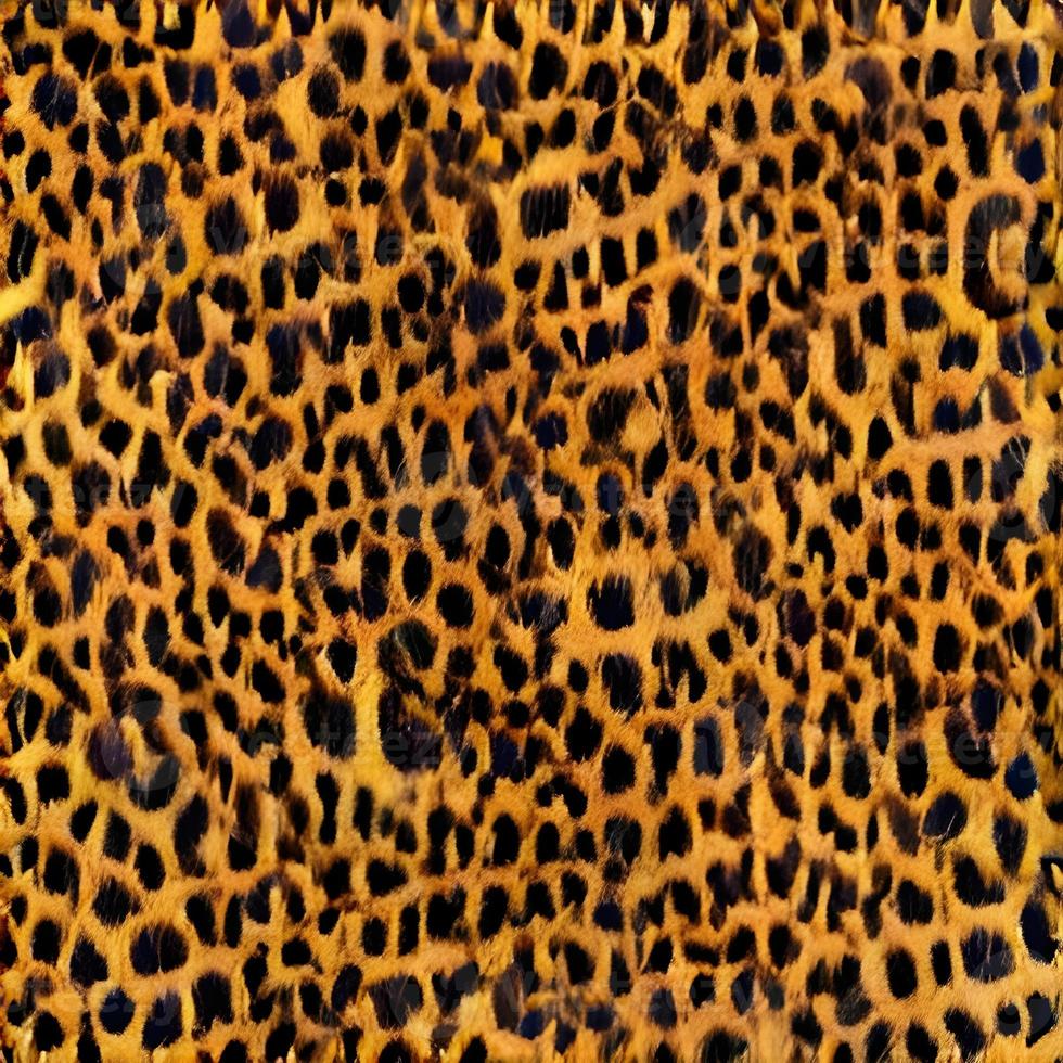 Leopard rundet Seidenschal-Design, Modetextilien. foto