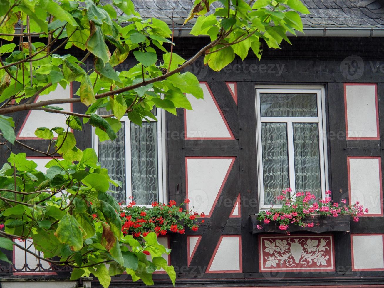 Rüdesheim am Rhein foto