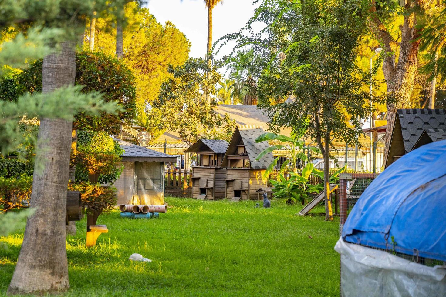 Katzenhaus aus Holz im Garten foto