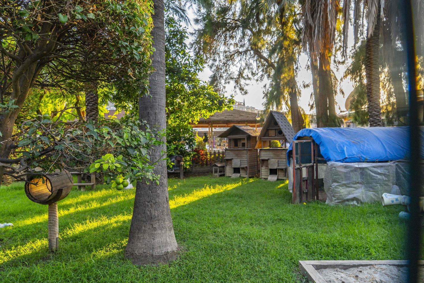 Katzenhaus aus Holz im Garten foto