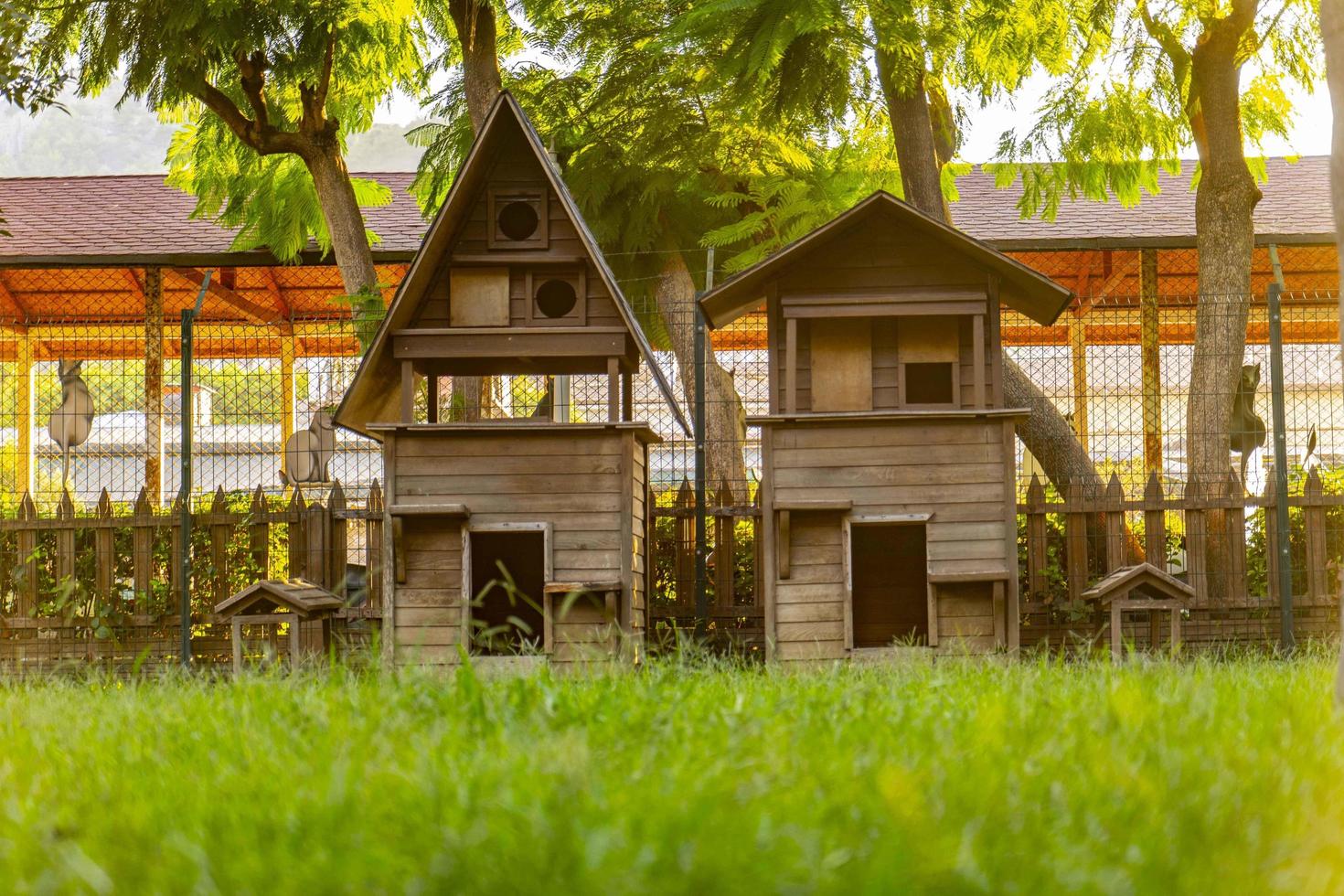 Katzenhaus aus Holz im Garten foto