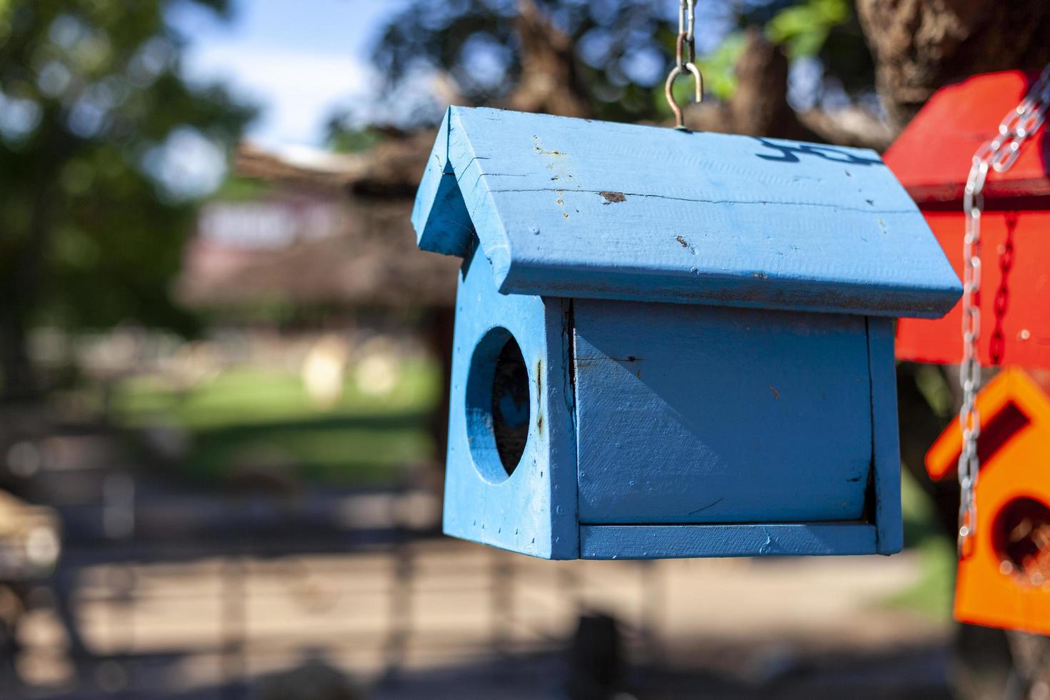 Kleines Holzhaus, das auf den Ästen blau gestrichen ist, damit die Vögel nisten können foto