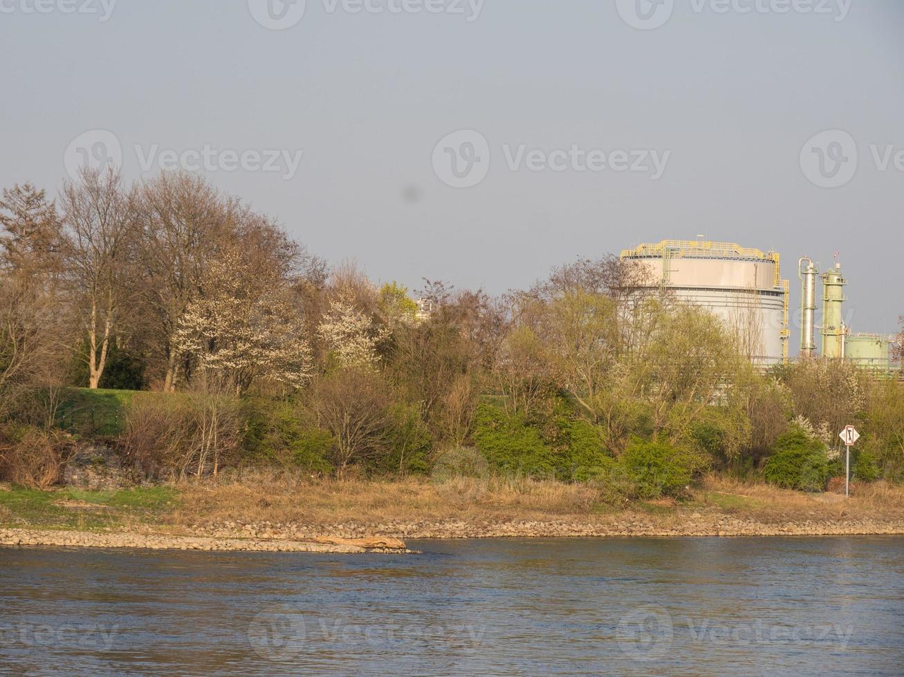 der rhein bei köln foto