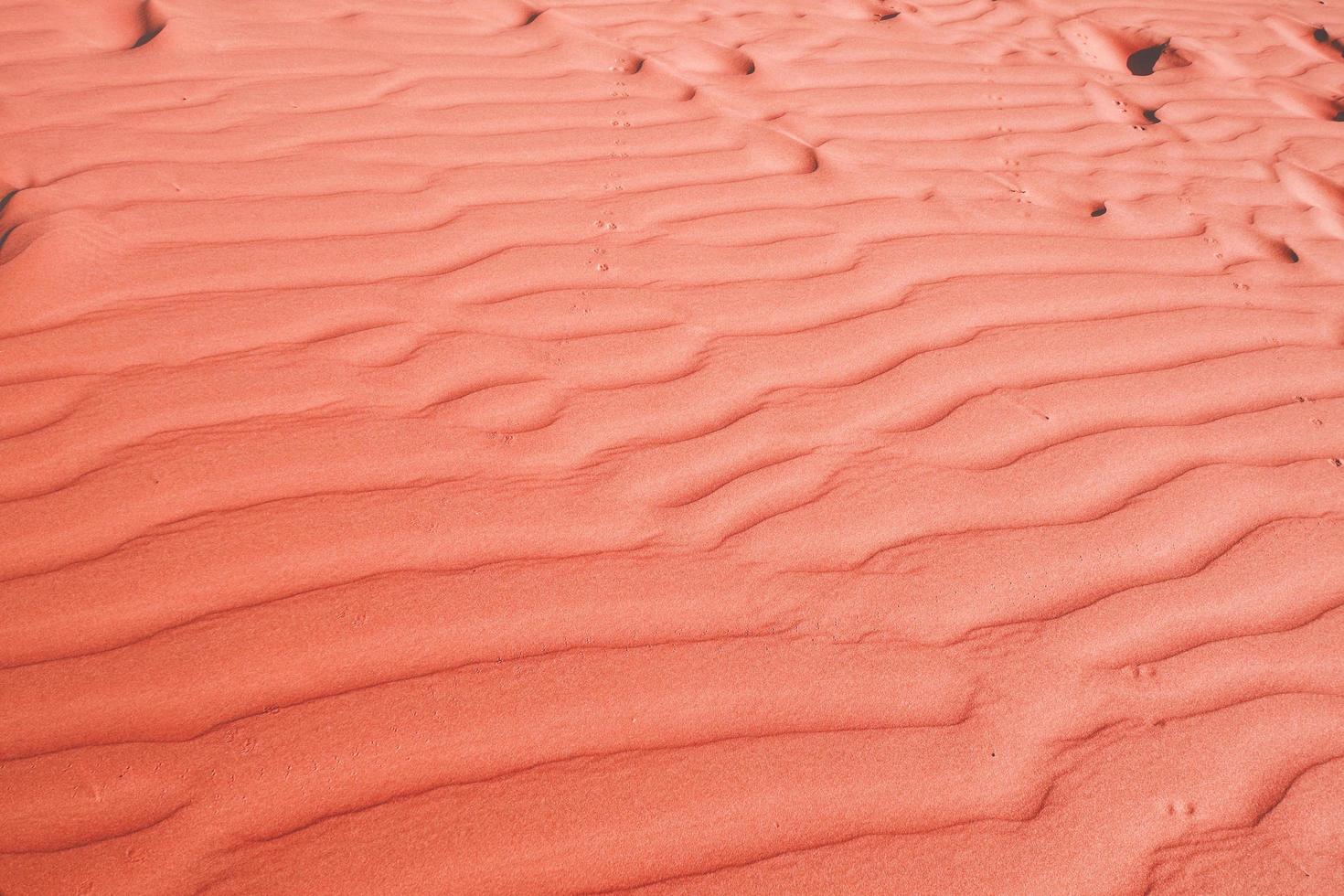 lebender korallenfarbener hintergrund, farbe des jahres 2019, textur der sanddüne in der wüste foto