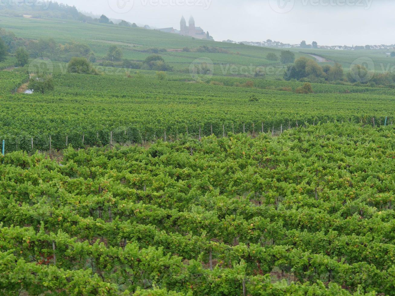 Rüdesheim am Rhein foto