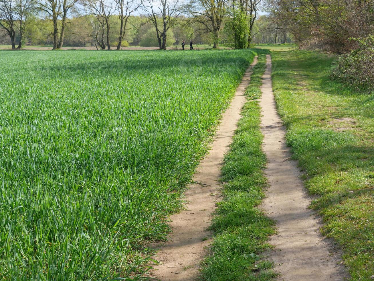 Wandern in der Dingdener Heide foto