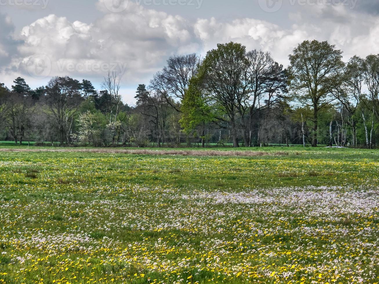 Wandern in der Dingdener Heide foto