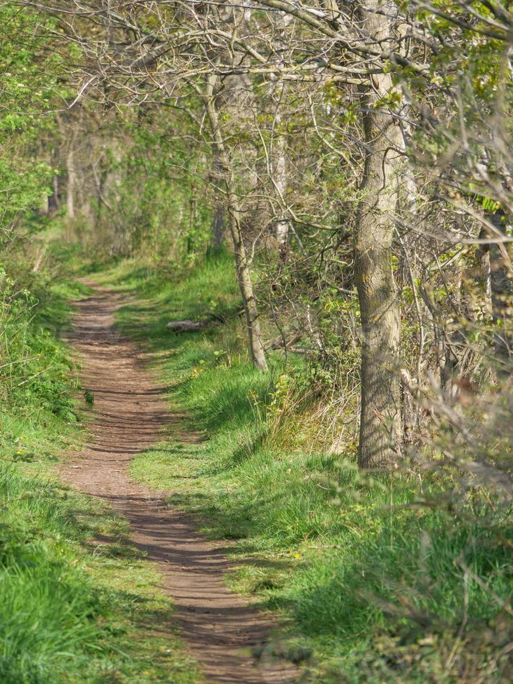 Wandern in der Dingdener Heide foto