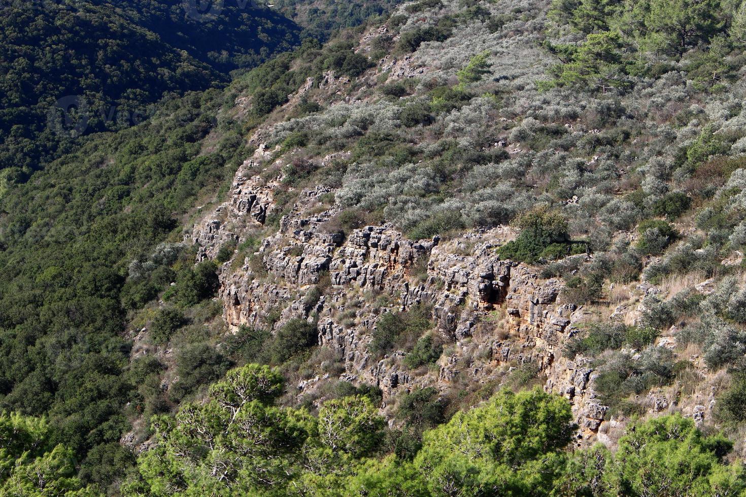 Felsen und Klippen in den Bergen im Norden Israels. foto