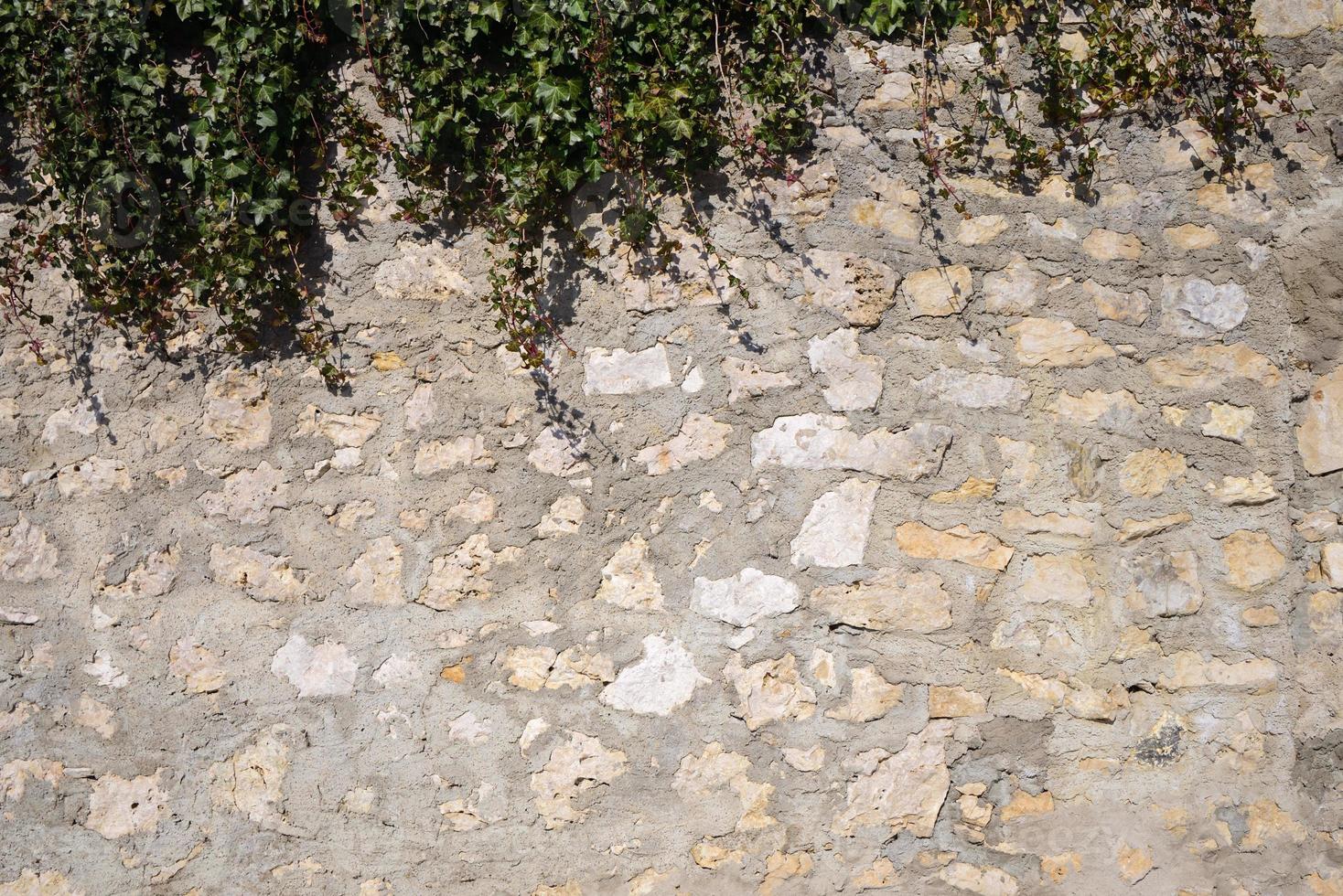 Hintergrund und Platz für Text einer alten Mauer aus Steinen, die mit einem Mörtel übereinander gesetzt wurden. Efeu wächst von oben über die Mauer foto