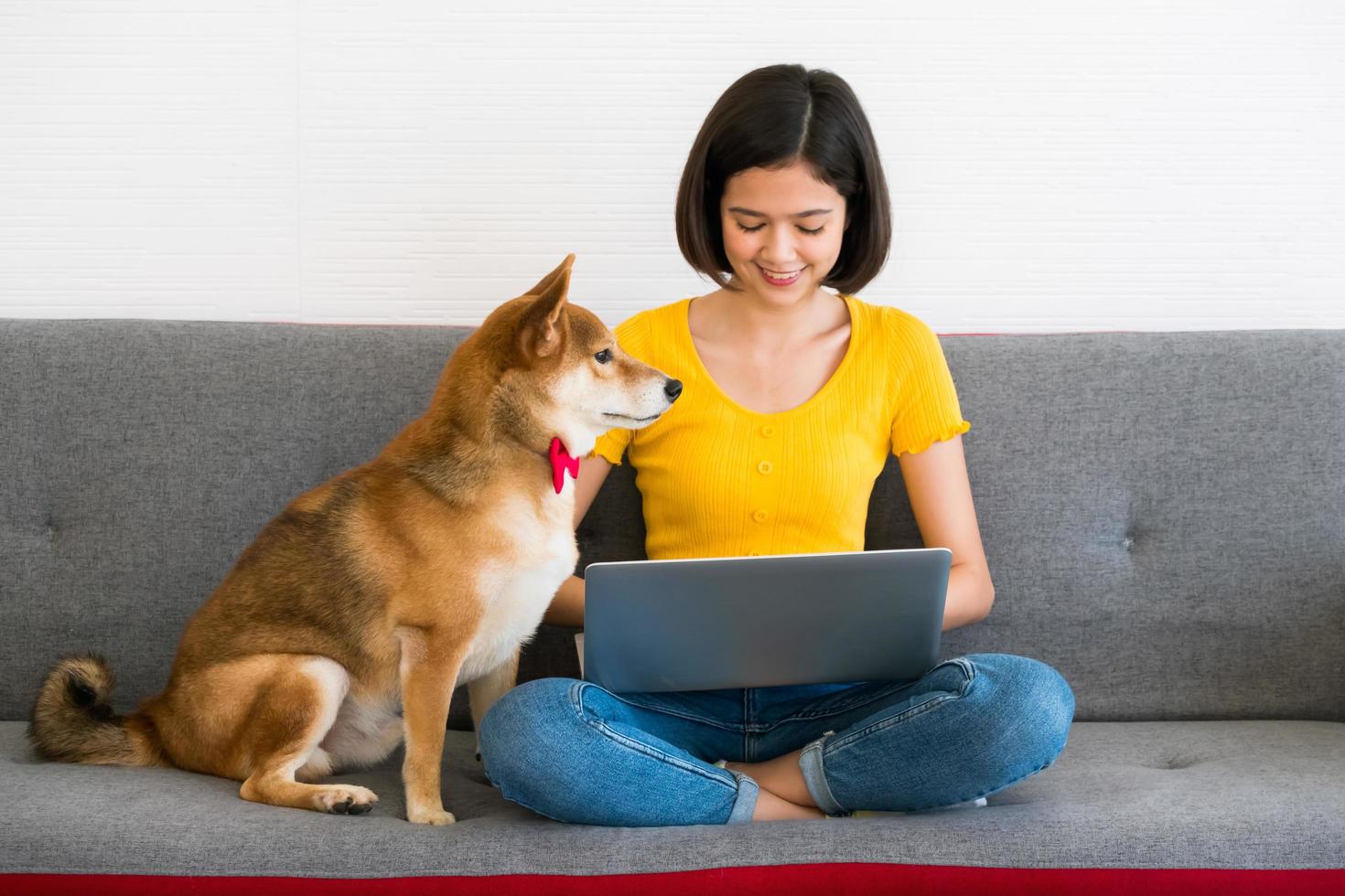 asiatische frau, die an einem laptop arbeitet, und shiba inu hund sitzen zusammen auf einem sofa zu hause foto