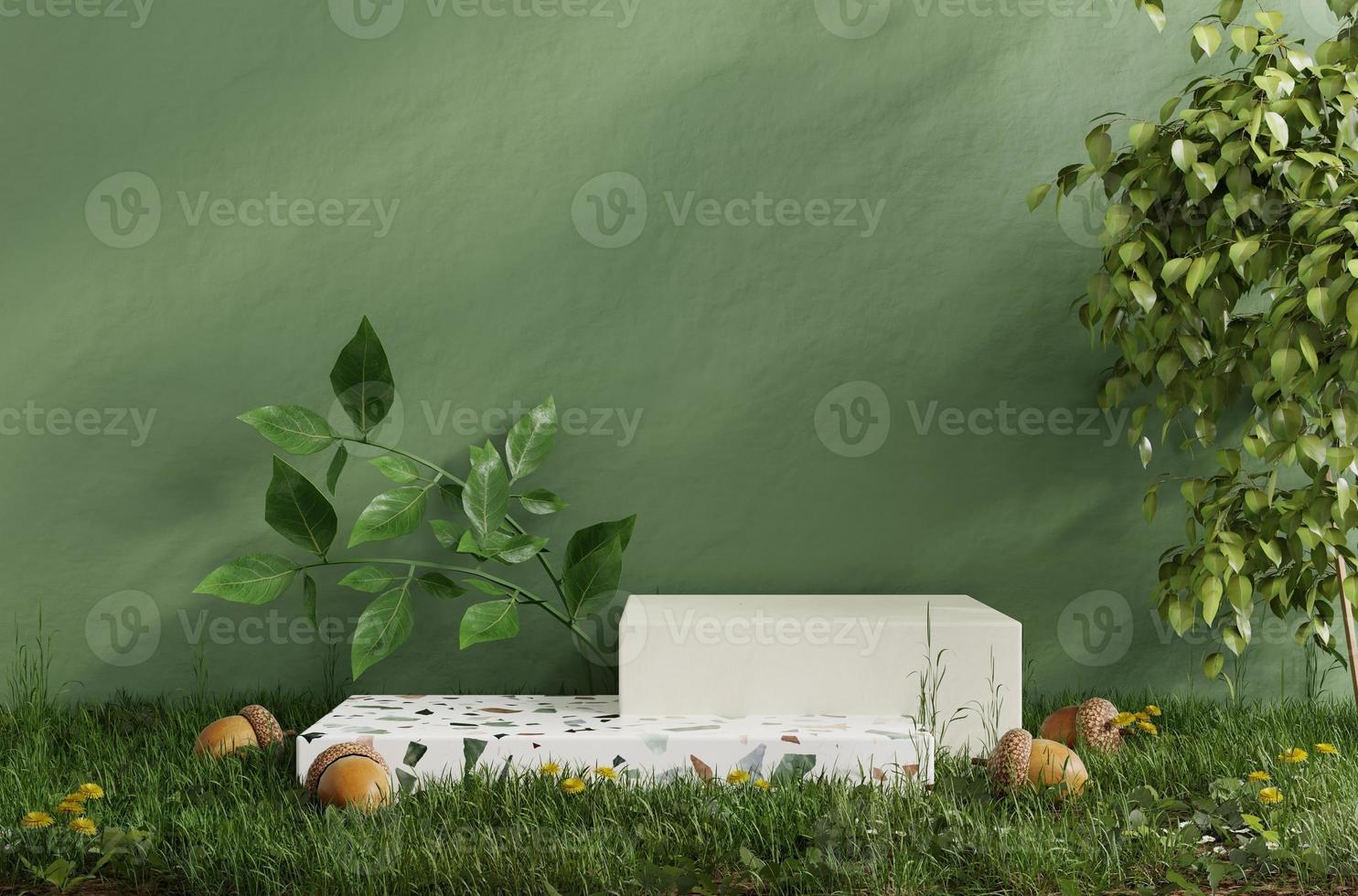 Terrazzopodest im Tropenwald zur Produktpräsentation dahinter Blick auf die grüne Wand. foto