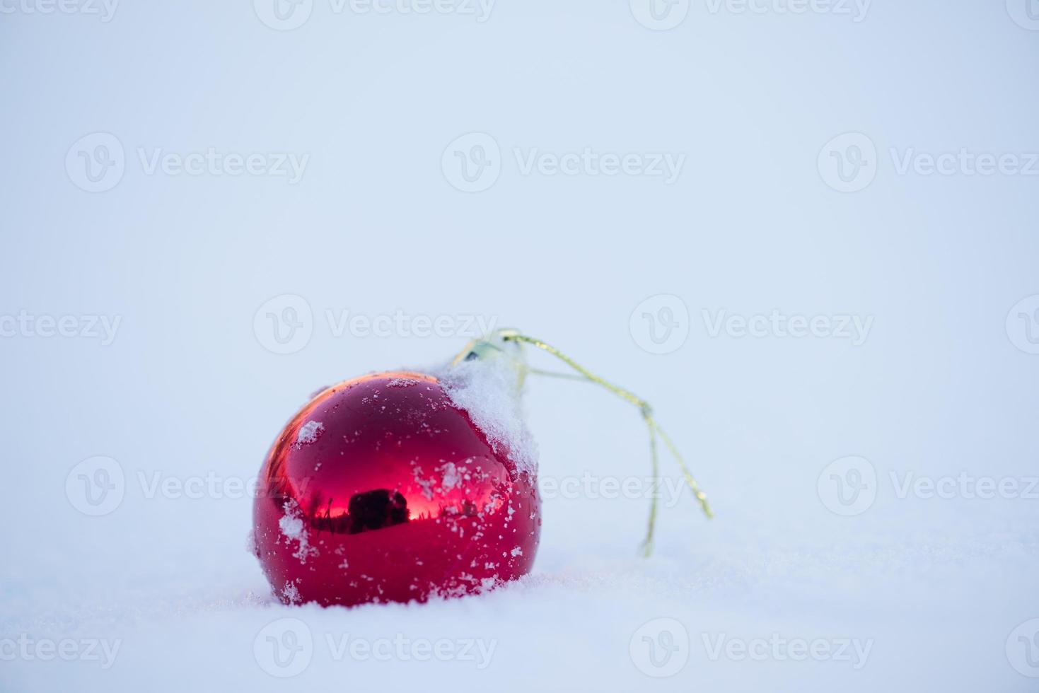 rote Weihnachtskugel im Neuschnee foto